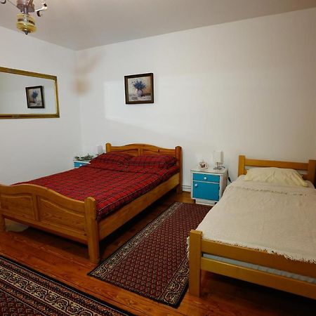 Apartman Carpe Diem Zaječar Buitenkant foto
